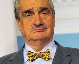 Podpora Karlu Schwarzenbergovi