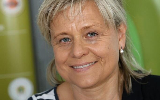 Škody napáchal dost, hodnotí čeští europoslanci konec „pana Green Deal“ v komisi 