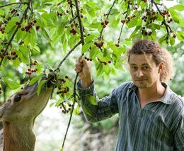 Exotika na českých pastvinách