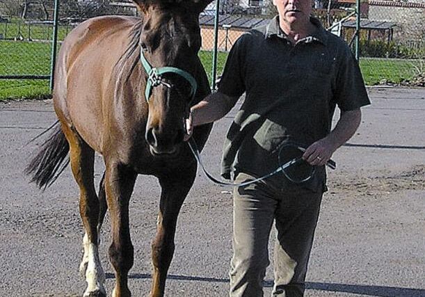 Největší potenciál pro růst zaměstnanosti je na venkově