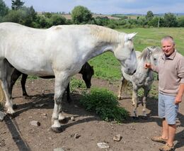 Josef Stehlík: Pole Agrofertu jsou časovaná bomba, holdingy dovážejí cizince a tunelují venkov