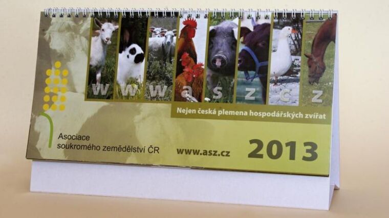 Originální kalendář ASZ na rok 2013 