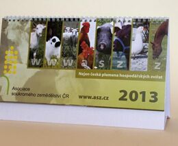 Originální kalendář ASZ na rok 2013 