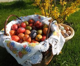 Týden v zemědělství podle Petra Havla - č. 16