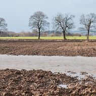 MZe ulehčí byrokratické povinnosti zemědělců a upraví některé podmínky pro hospodaření
