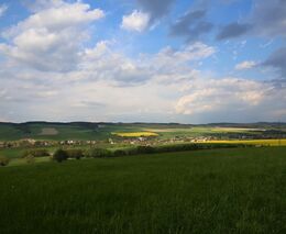 Týden v zemědělství podle Petra Havla - č. 10