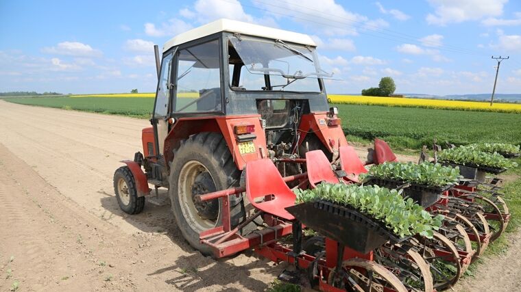 Z pole až na vidličku? Zdražování potravin a polistopadový kartel Agrofertu