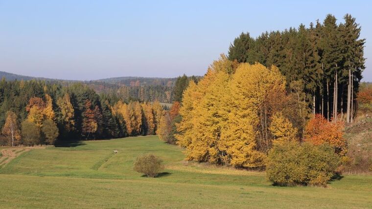 Agrární komoře vadí změny v evropském zemědělství. „Cílí se na lokální pěstitele,“ chválí si farmáři