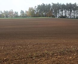 Týden v zemědělství podle Petra Havla - č. 41