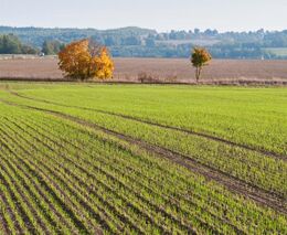 Šéf sedláků opět vytočil agrobarony