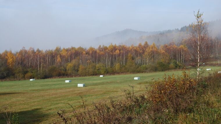 Ceny většiny výrobců v září rostly, v zemědělství zpomalil pokles cen