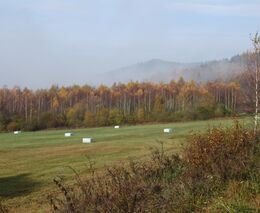 Ceny většiny výrobců v září rostly, v zemědělství zpomalil pokles cen