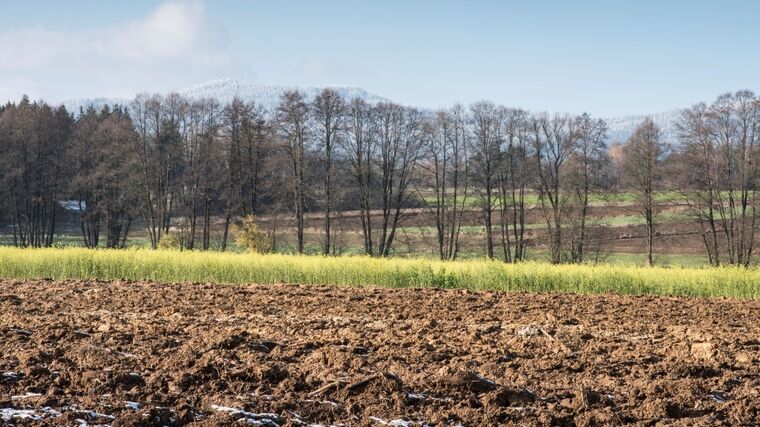 Polní den DVP Agro: „Ukončení meziplodin a vyhodnocení pokusů různých strategií hnojení “