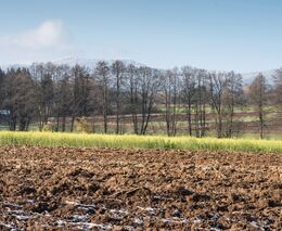Polní den DVP Agro: „Ukončení meziplodin a vyhodnocení pokusů různých strategií hnojení “