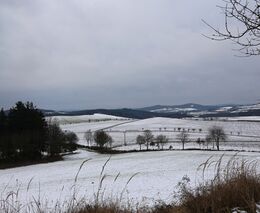 SZIF 2024: Snížení počtu kontrol, vyplacení rekordních záloh i podpora při mrazech a povodních