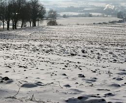 Další tisíc korun za hektar. Růst daně i inflace ženou vzhůru ceny pachtovného