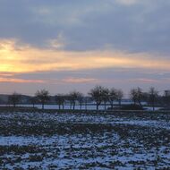 Zemědělci se bouří proti Babišovi. Žádají Evropskou radu, aby se neúčastnil jednání o dotacích