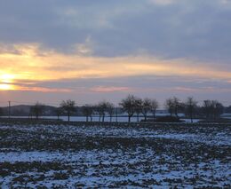 Lidi i přírodu pomůže ochránit před světelným znečištěním nová norma