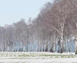 Výhled počasí na zimu nepotěší. Obnovitelné zdroje si moc neškrtnou
