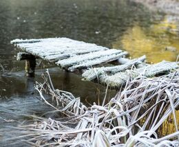Týden podle PH č. 8 - 2017 (pH týdne: 7)