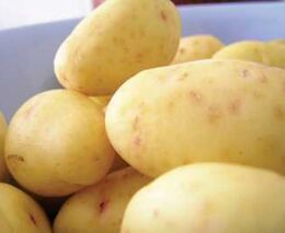 Pro prodej konzumních brambor pěstitelem přímo spotřebitelům neplatí povinnost registrace