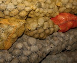 Místo brambor obilí. Válka zřejmě změní plány českých sedláků