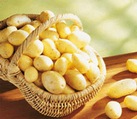 O chemoterapii potravin
