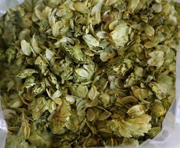 SZIF rozdělí 557,4 milionů korun na bílkovinné plodiny, brambory a chmel