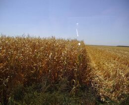 ÚKZÚZ neodpověděl, zda plní zákony 