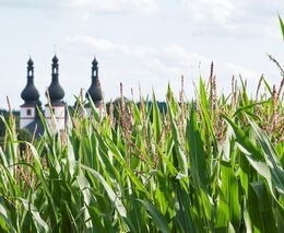 Týden podle PH č. 43 - 2017 (pH týdne: 2)