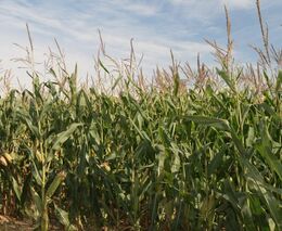 Střední zemědělská škola v Čáslavi bude při výuce používat polního robota