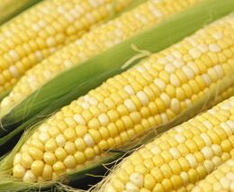 Týden podle PH č. 44 - 2017 (pH týdne: 6)