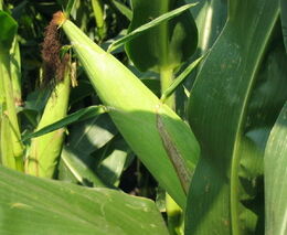 Pozvánka na den otevřených dveří DVP Agro