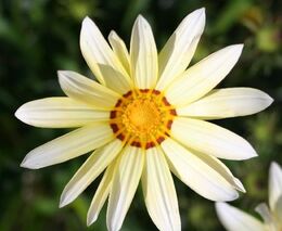 Skutečná ochrana přírody vychází z osobní odpovědnosti