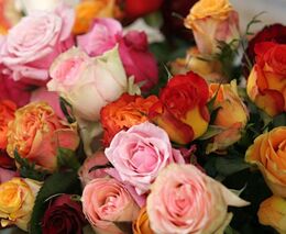 Samoobslužné stánky s květinami stojí na důvěře, fungují už čtvrtým rokem