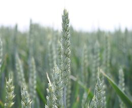 Týden podle PH č. 14 - 2022 (pH týdne: 7)