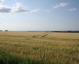 Lidovci vytáhli proti zemědělcům