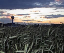 Česká republika a budoucnost společné zemědělské politiky