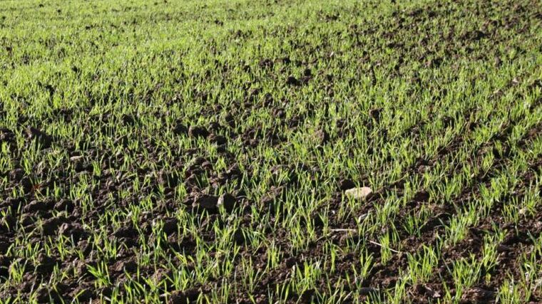 Webinář na téma Současné hospodaření na zemědělské půdě v měnících se podmínkách prostředí