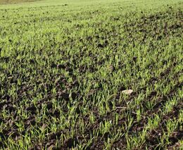 Webinář na téma Současné hospodaření na zemědělské půdě v měnících se podmínkách prostředí