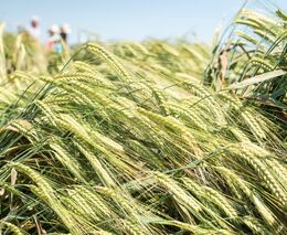 Biden: U ukrajinských hranic vyrostou dočasná sila, pomohou s vývozem obilí