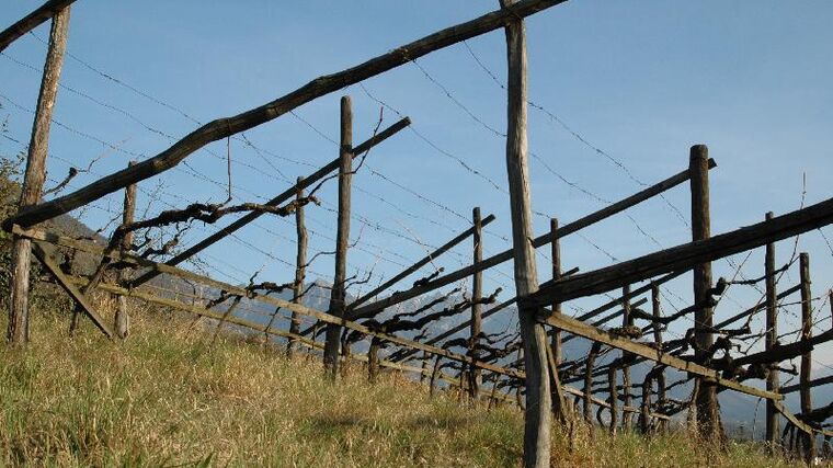 Peníze z EU pomohou při osvětě o Cross-Compliance