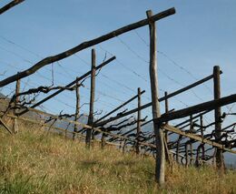 Peníze z EU pomohou při osvětě o Cross-Compliance