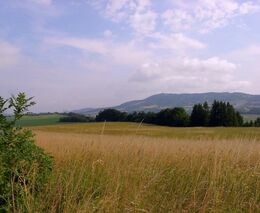 Přijďte se dozvědět, jak vyrobit kvalitní píci z travních porostů