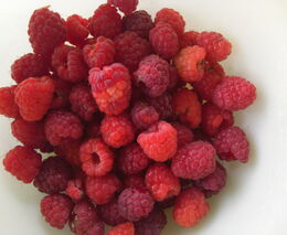 Faremní zpracování ovoce a zeleniny v ekologickém zemědělství