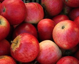 Pozvánka na workshop mezinárodního projektu FOX