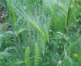 Informace k postupu získání osvědčení o odborné způsobilosti pro nakládání s POR