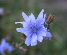 Katalog technologií a postupů precizního zemědělství pro ekologické zemědělství