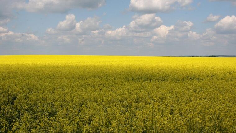 Zemědělský fond odebírá Agrofertu dotaci, kvůli které dostalo Česko od Bruselu pokutu
