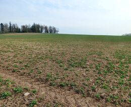 Rizika ztráty vody a uhlíku při zpracování půdy